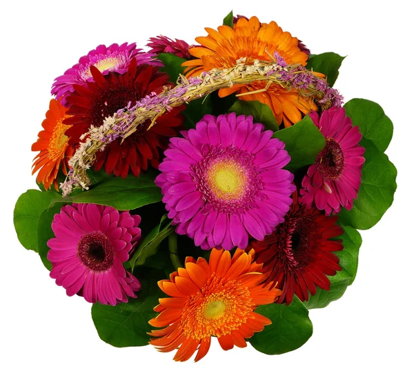 Καλάθι με λουλούδια gerbera — Φωτογραφία Αρχείου
