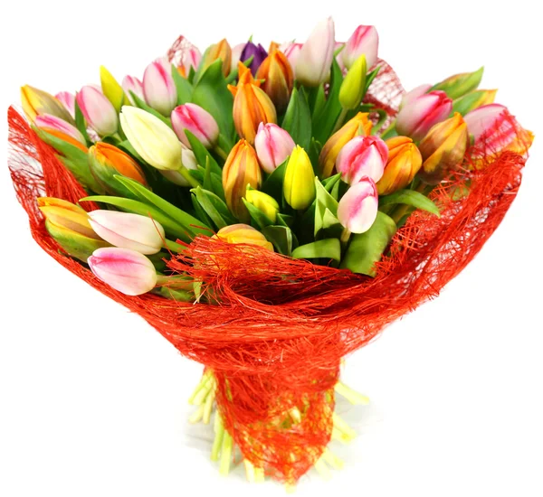 51 tulips — Stock Photo, Image