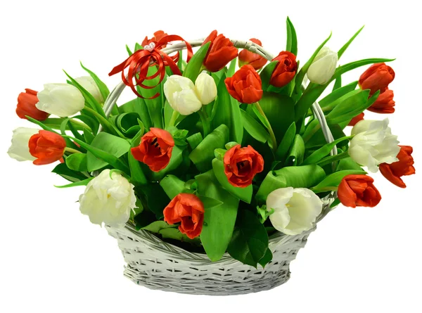 Cesta de tulipas — Fotografia de Stock