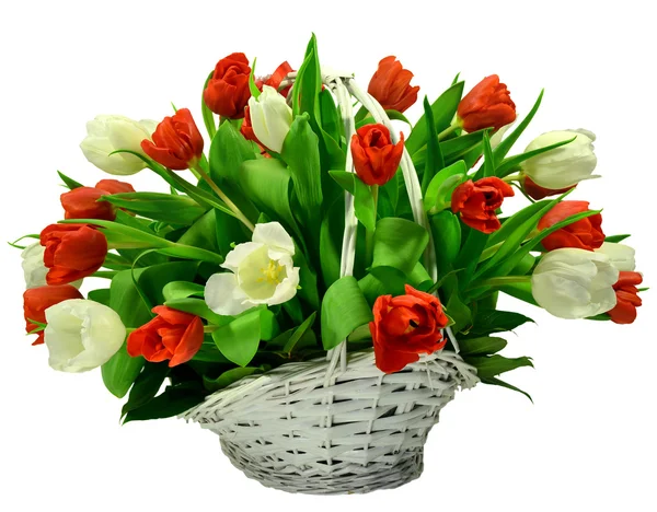 Basket of tulips — Stock Photo, Image