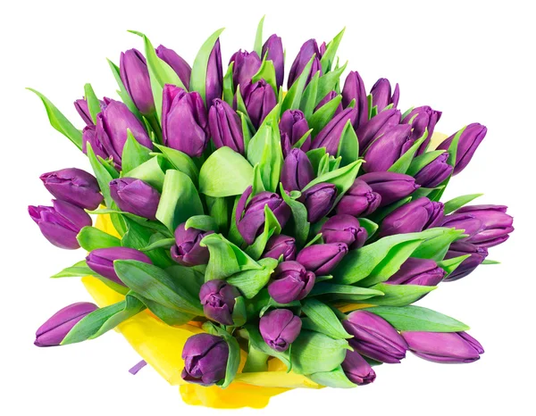 Bouquet de tulipes — Photo