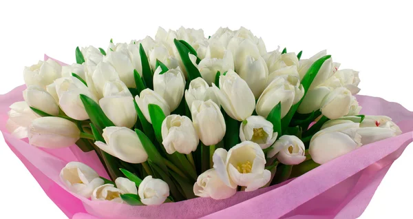 Bouquet de tulipes blanches — Photo