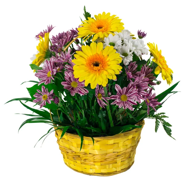 Koše chryzantémy a květiny gerbera — Stock fotografie