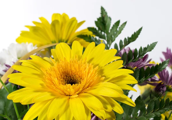 Cesta de crisântemos e flores de gerbera — Fotografia de Stock