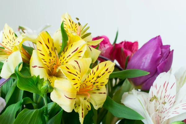 Çiçek sepeti — Stok fotoğraf