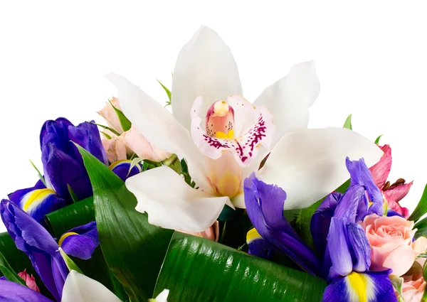 Basket of flowers orchids and irises — Stock Photo, Image