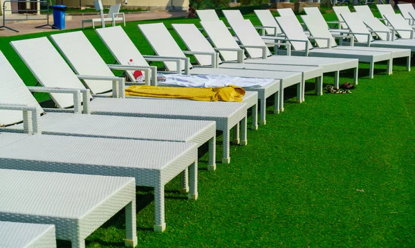 Empty sunbeds on the green grass — Stock Photo, Image