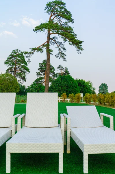 Empty sunbeds on the green grass, on the background of green tre — Stock Photo, Image