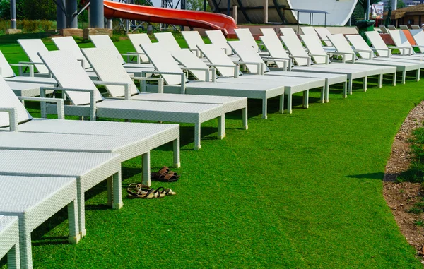 Chaises longues vides sur l'herbe verte — Photo