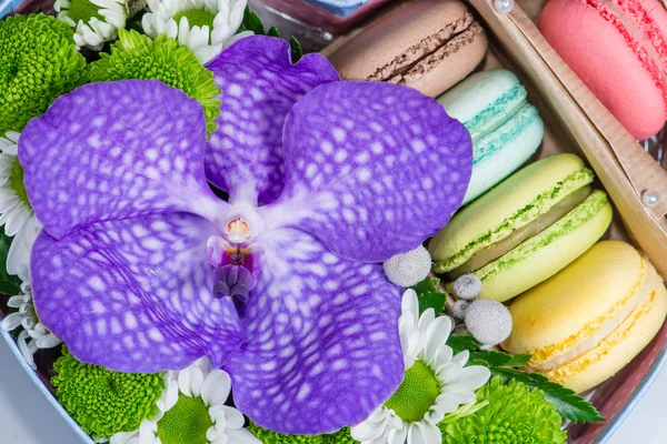 Nahaufnahme von Blumen und Makronen. geringe Schärfentiefe, Fokus — Stockfoto