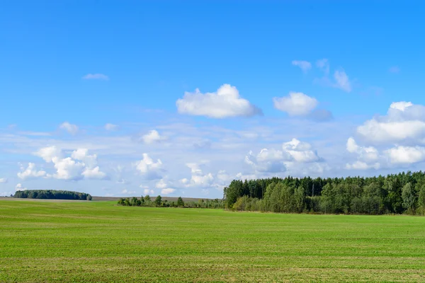 Geploegd heuvels met groene scheuten van tarweveld tegen de backdr — Stockfoto