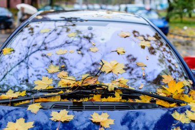 Düşen sarı yapraklar cam ve arabada başlık