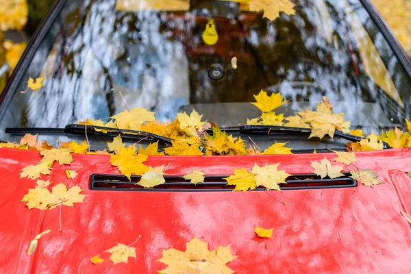 Fallen yellow leaves on the glass and the hood of the car in the — Stock Photo, Image