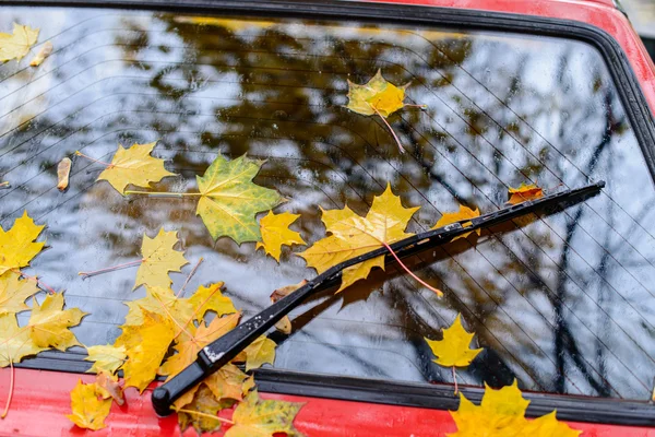 Umgestürzte gelbe Blätter auf der Scheibe und der Motorhaube des Autos in der — Stockfoto