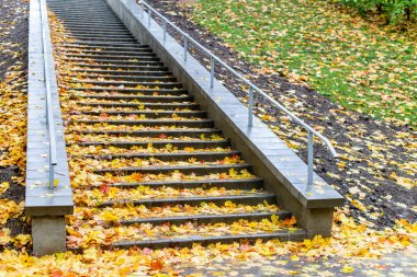 Şehir Parkı (sığ Dof, fo granit adımlardan sarı yapraklarda