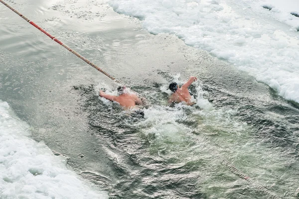 Ice swimming, swimming competitions in the winter outdoors at a frozen lake. Extreme fitness sport.