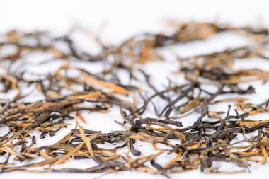 close-up of spilled tea Golden needle with a red-haired (Golden 