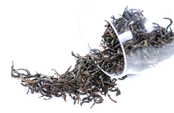 Close-up of Altay Russian herbal tea Willow-herb (lat. Chamerion angustifolium), herbal tea brewed in a teapot — Φωτογραφία Αρχείου