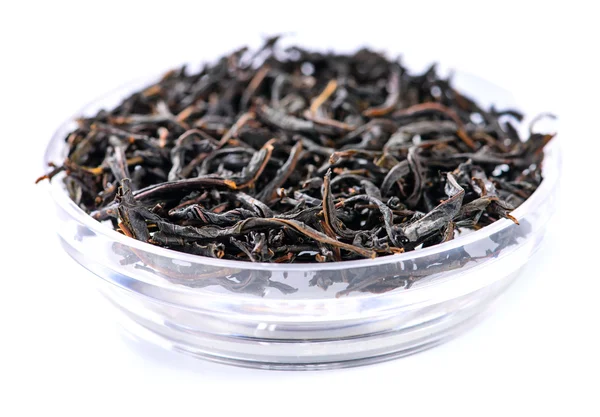 Altay ρωσική τσάι fireweed ζυμωνομμένος (lat. Chamerion angustifolium) — Φωτογραφία Αρχείου