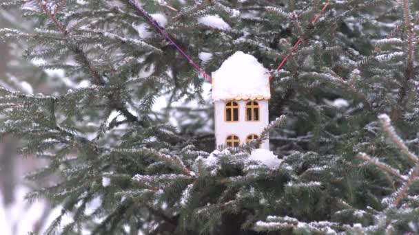 Fågelhus Snö Faller — Stockvideo