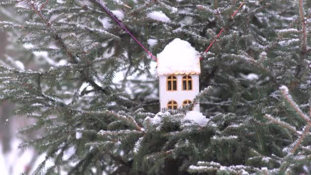 雪の下の鳥の家 — ストック動画