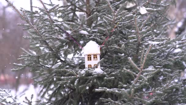 Птичий Дом Снегом — стоковое видео