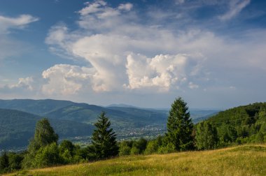 dağlarda yaz günü. Karpat, Ukrayna, Avrupa.
