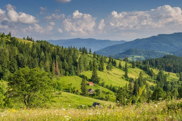 Nyár a hegyekben töltött nap. Kárpátok, Ukrajna, Európa. — Stock Fotó