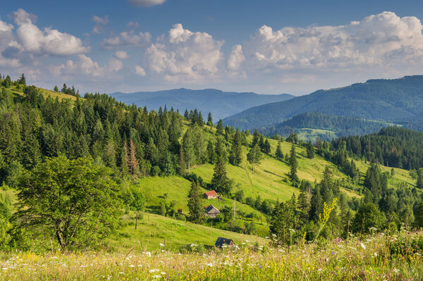 летний день в горах. Карпаты, Украина, Европа
.