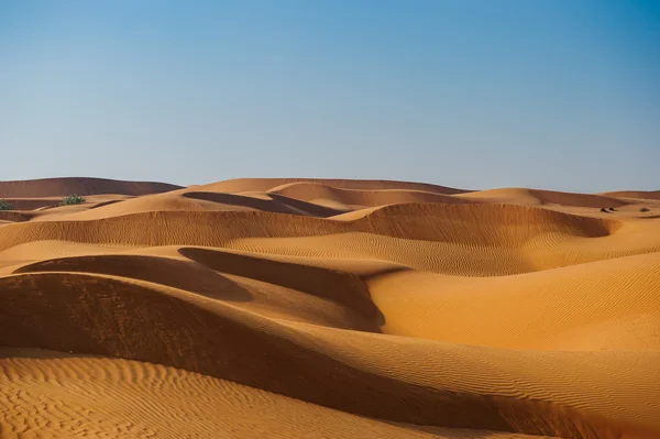 Gul öknens sanddyner och sky. — Stockfoto