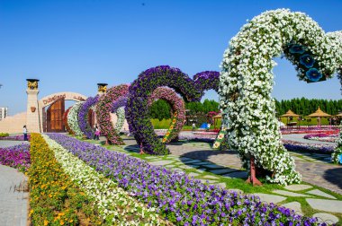 BAE Dubai mucize Bahçe