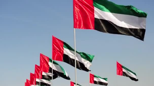 Прапори ОАЕ скасувавши на вітру в денний час. — стокове відео