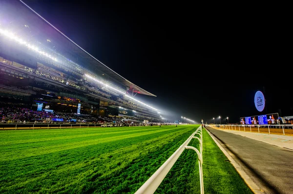 Hotel Meydan en Dubai, Emiratos Árabes Unidos — Foto de Stock