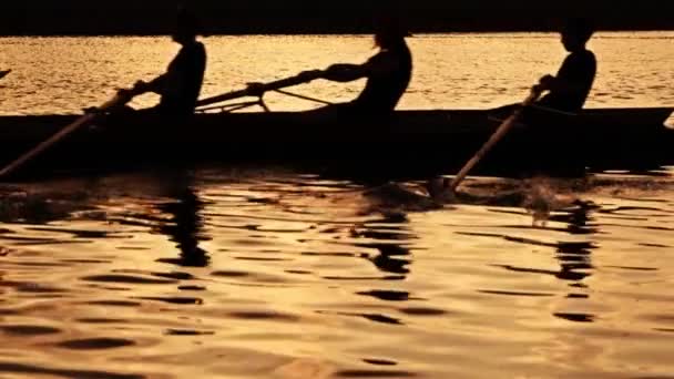 Siluetas de remo cámara lenta puesta de sol video — Vídeo de stock