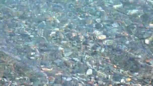 鹅卵石底清除浅水表面 4k 拍摄 — 图库视频影像