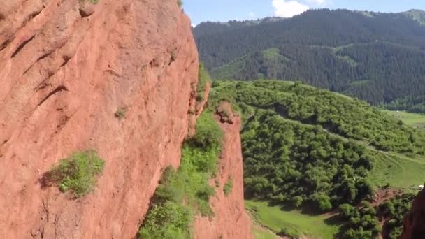 Luftbild von rosa Felsen mit spärlicher Vegetation und weit entfernten schneebedeckten Gipfeln — Stockvideo