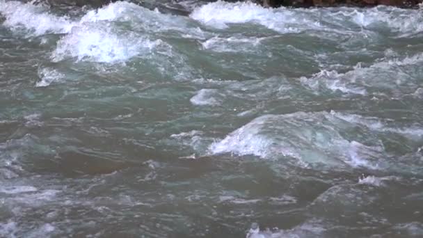 Super-Zeitlupe-Video über Stromschnellen im Gebirgsfluss — Stockvideo