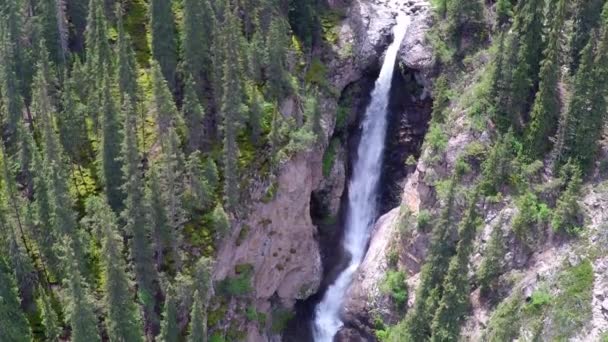 Vídeo aéreo de alta cascada en bosque de picea de montaña. Kirguistán — Vídeo de stock