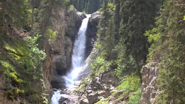 4K video of high waterfall in mountain spruce forest. Kyrgyzstan — Stock Video