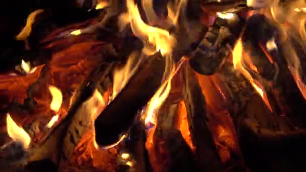 4k Nahaufnahme eines Lagerfeuers im Dunkeln — Stockvideo