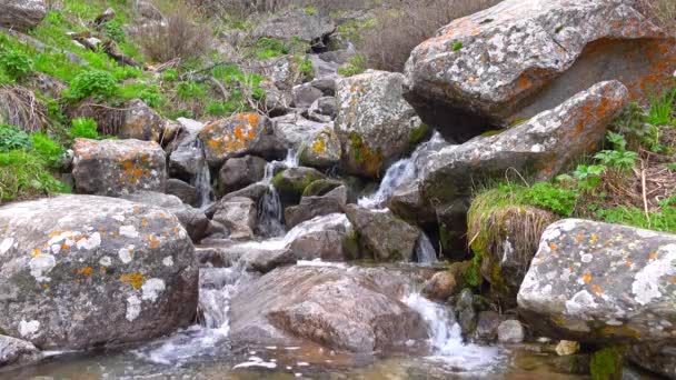 Kleiner bergiger Wasserfall zwischen flechtenbedeckten Felsen. 4k-Schuss — Stockvideo