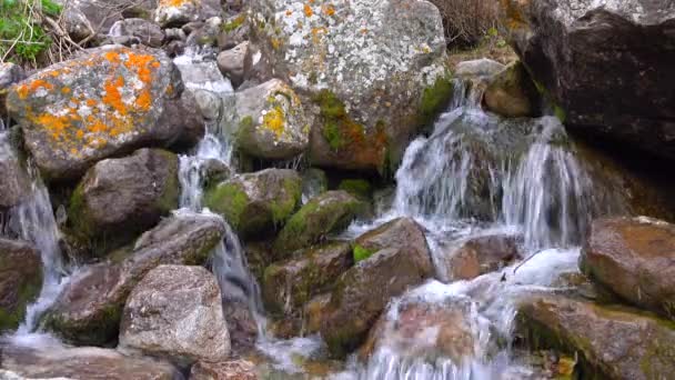 Mały wodospad górskim wśród porostów objętych skał. 4k strzał — Wideo stockowe