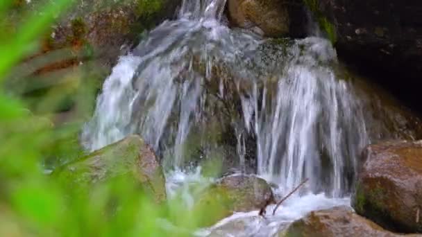 Litet bergiga vattenfall bland lavar omfattas klippor. 4k närbild skott — Stockvideo