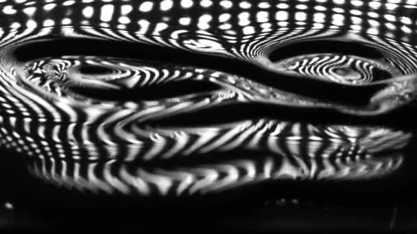 Vidéo de ralenti macro peinture liquide dense. Noir et blanc — Video