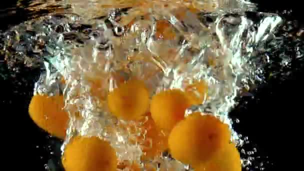 Багато помаранчевих Кумквати підпадають під воду супер повільний рух відео. Чорному фоні — стокове відео