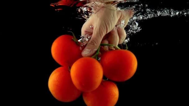 Chef hand reaching and pulling bunch of tomatoes out of water super slow motion — Stock Video