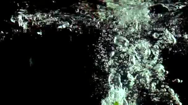 Diversi pomodori rossi con foglie verdi cadono sotto l'acqua super slow motion — Video Stock