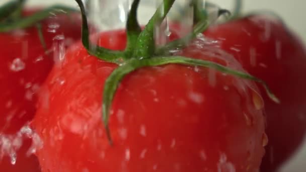 Супер замедленная съемка брызг воды на красном спелых помидорах с зелеными листьями — стоковое видео