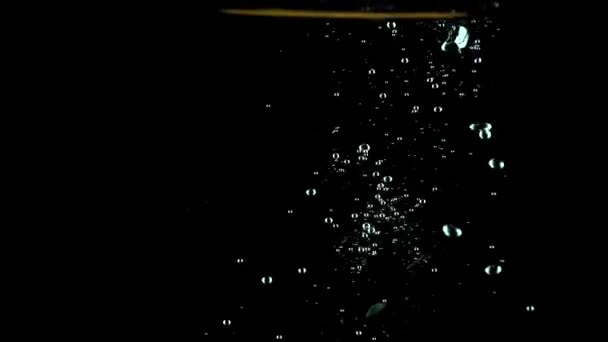 Macro super lent mouvement de tranche d'orange tombant dans l'eau sur fond sombre — Video