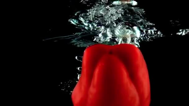 Helft van rode paprika valt in water close-up super slow-motion shot — Stockvideo